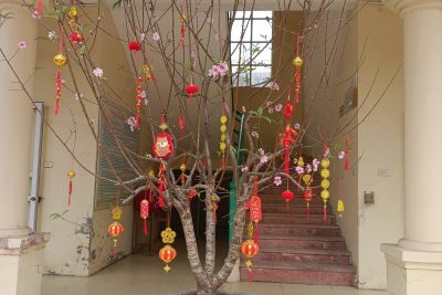 Thư chúc mừng năm mới 2026 của Hiệu trưởng nhà trường.